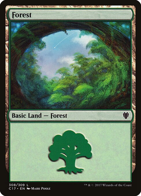 Forest (308) — Front