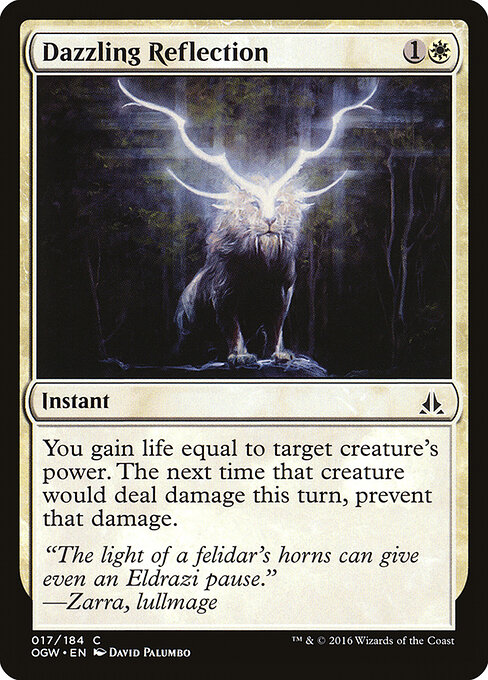 Dazzling Reflection — Front