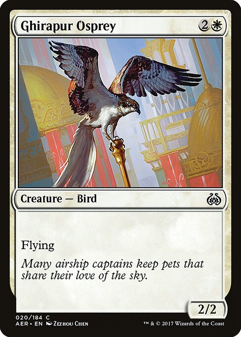 Ghirapur Osprey — Front
