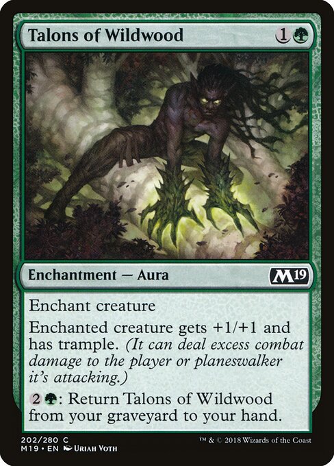 Talons of Wildwood — Front