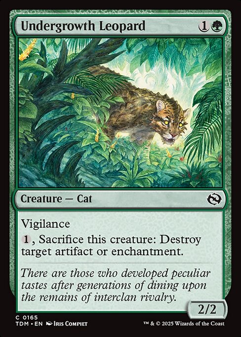 Undergrowth Leopard — Front