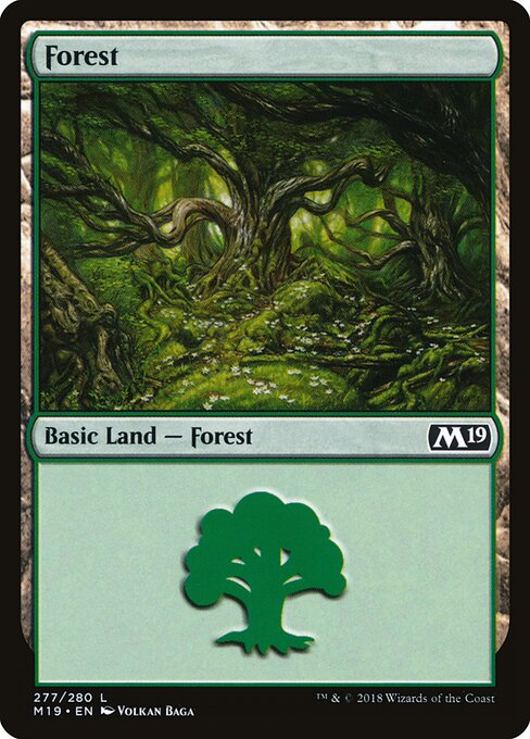 Forest (277) — Front