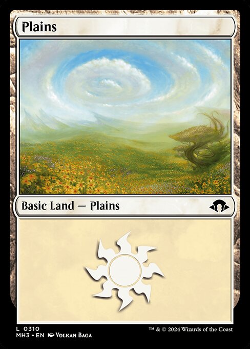 Plains (0310) — Front
