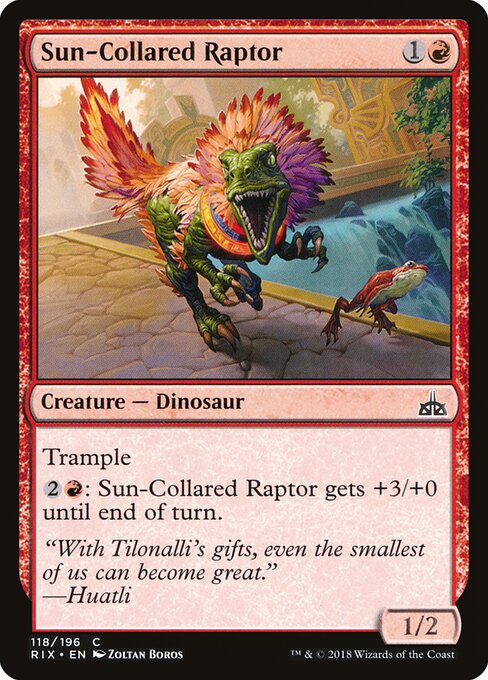 Sun-Collared Raptor — Front