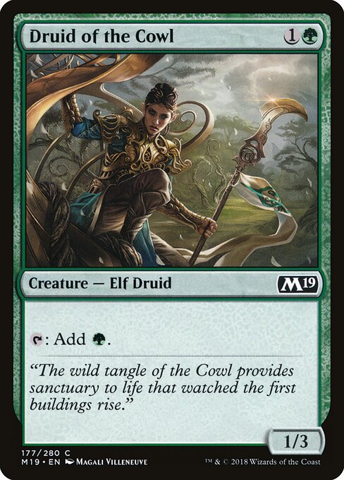 Druid of the Cowl — Front