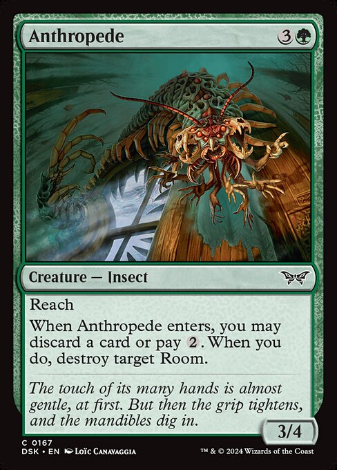 Anthropede — Front