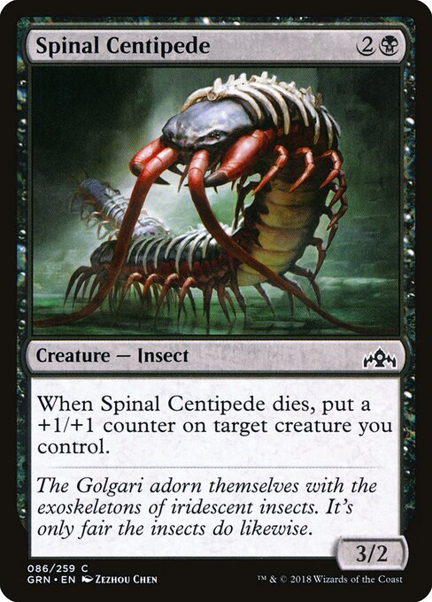 Spinal Centipede — Front