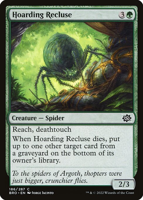 Hoarding Recluse — Front