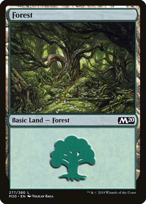 Forest — Front
