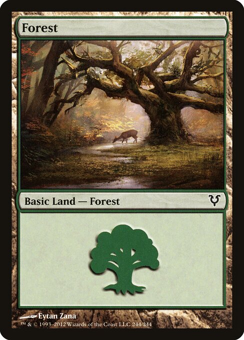 Forest (244) — Front