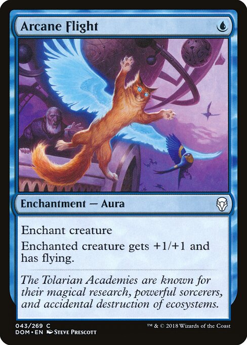 Arcane Flight — Front