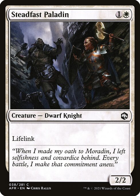 Steadfast Paladin — Front