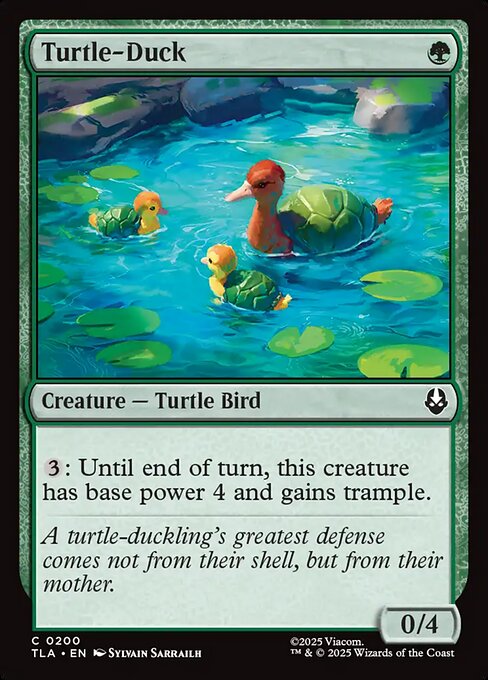 Turtle-Duck — Front