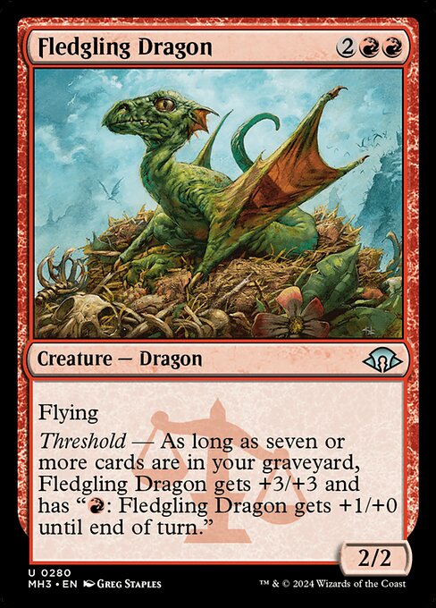 Fledgling Dragon — Front