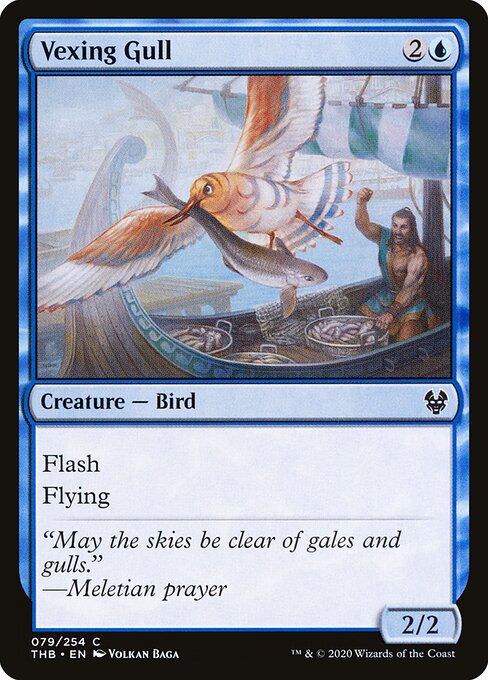 Vexing Gull — Front