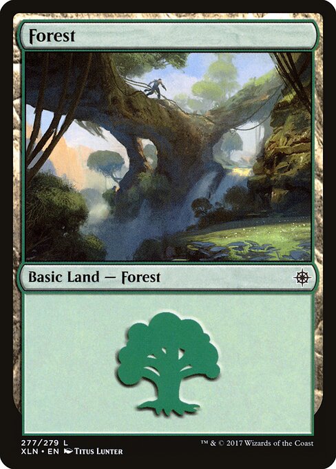 Forest (277) — Front