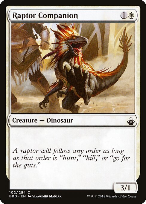 Raptor Companion — Front