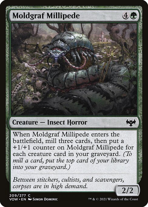 Moldgraf Millipede — Front