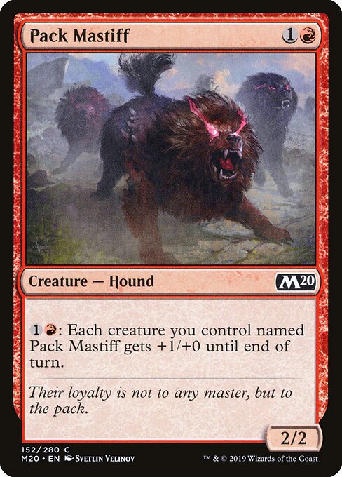 Pack Mastiff — Front