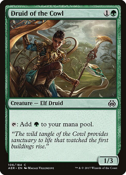 Druid of the Cowl — Front