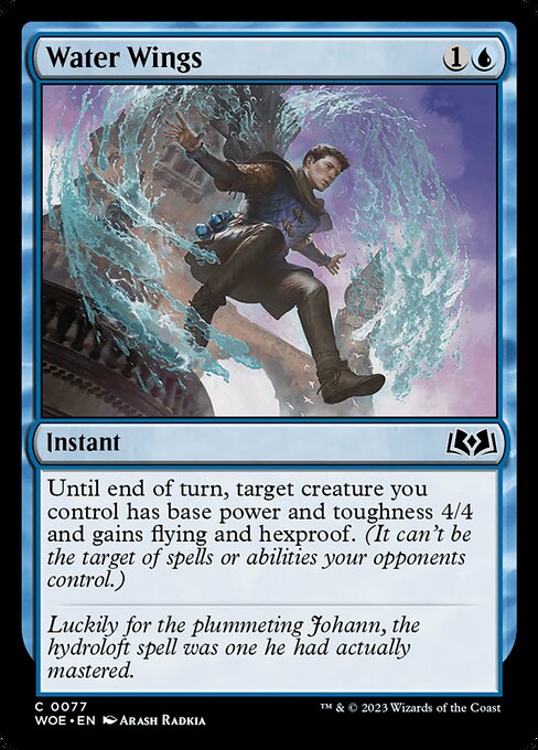 Water Wings — Front