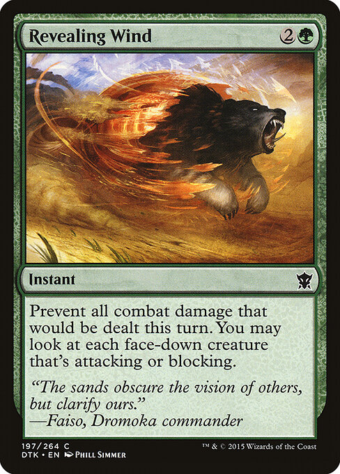Revealing Wind — Front