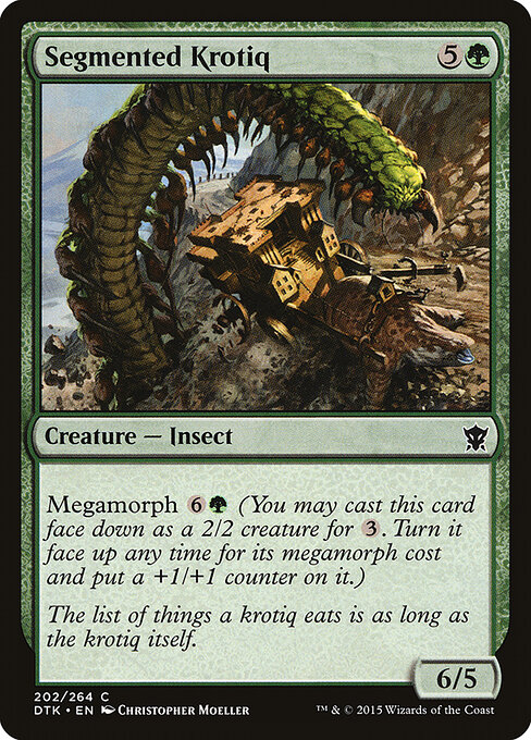 Segmented Krotiq — Front