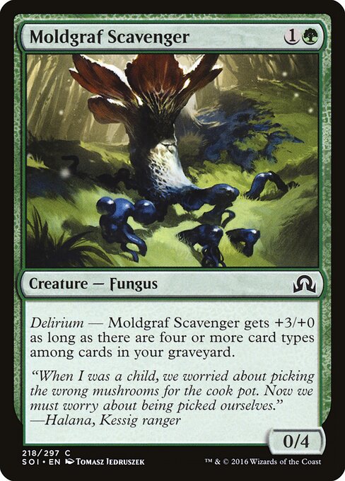 Moldgraf Scavenger — Front
