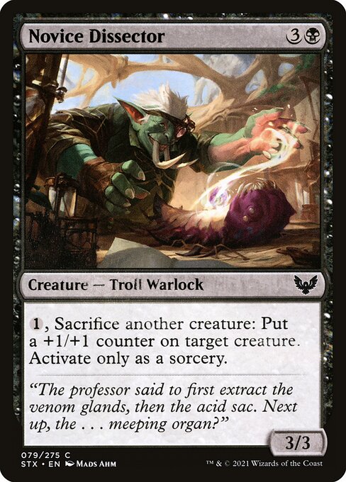 Novice Dissector — Front