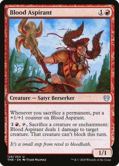 Blood Aspirant — Front