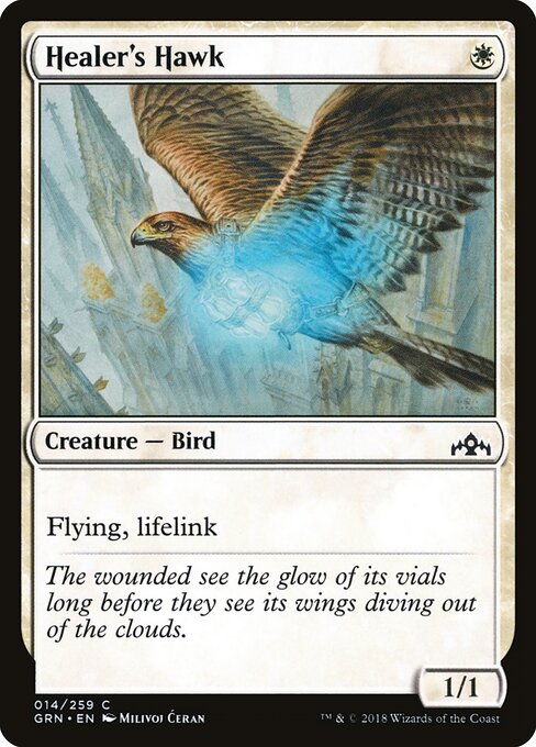 Healer's Hawk — Front