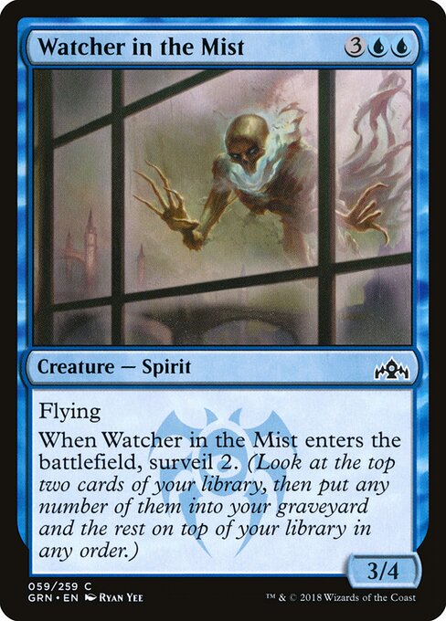 Watcher in the Mist — Front