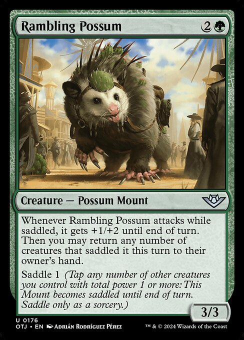 Rambling Possum — Front