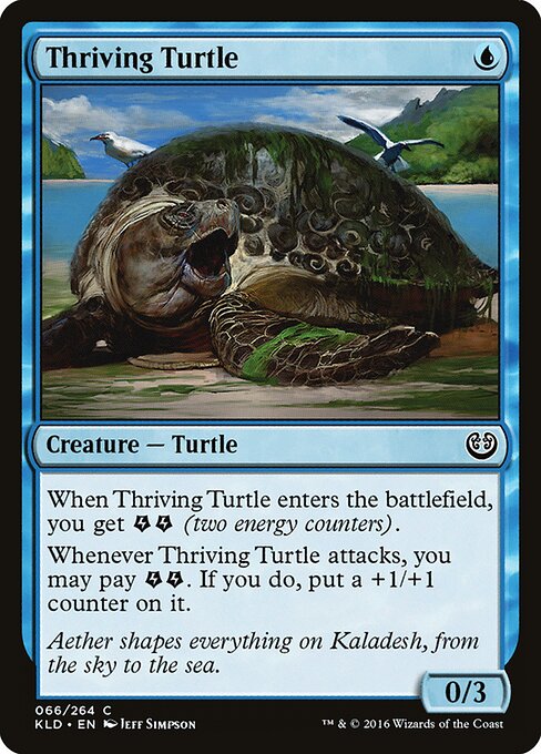 Thriving Turtle — Front