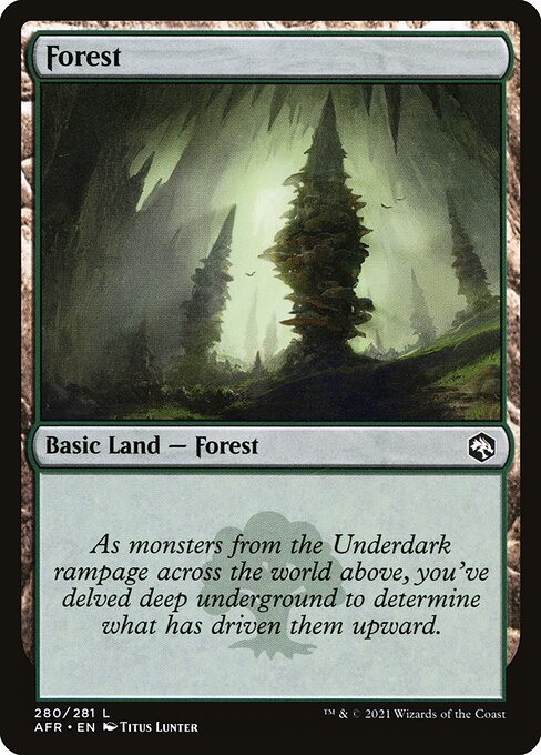 Forest (280) — Front