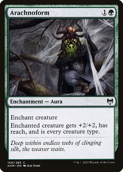 Arachnoform — Front
