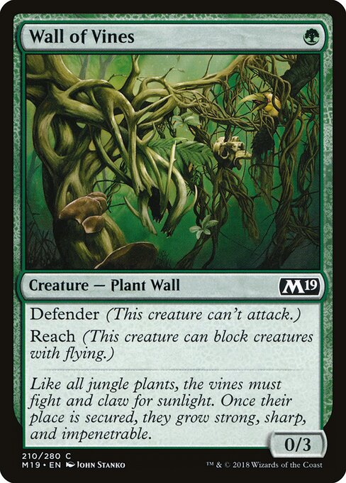 Wall of Vines — Front