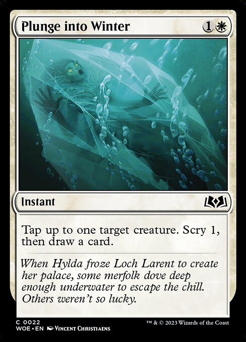 Plunge into Winter — Front