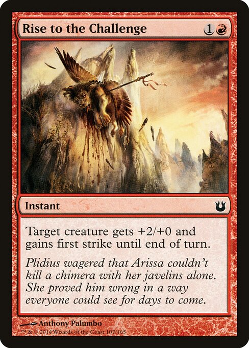 Rise to the Challenge — Front
