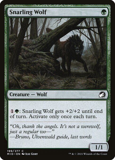 Snarling Wolf — Front