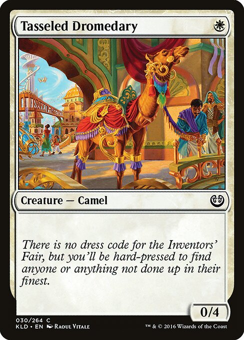 Tasseled Dromedary — Front