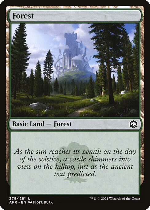 Forest (278) — Front