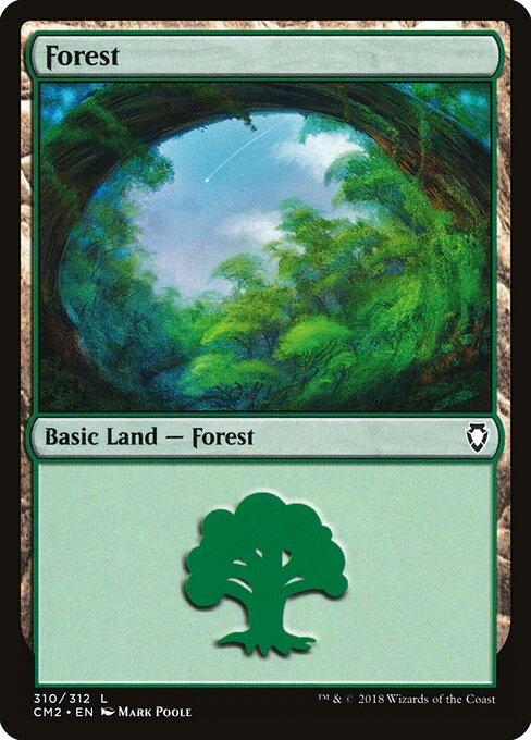 Forest (310) — Front