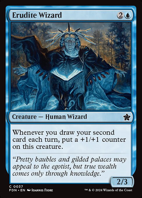 Erudite Wizard — Front