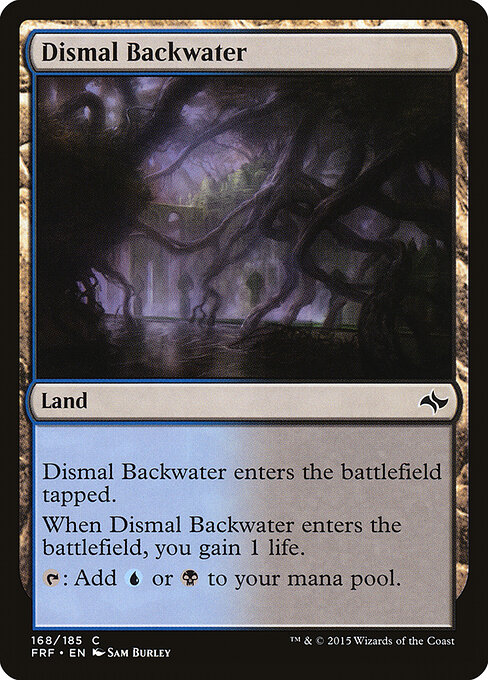 Dismal Backwater — Front