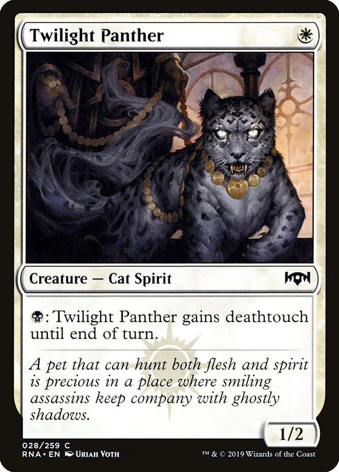 Twilight Panther — Front