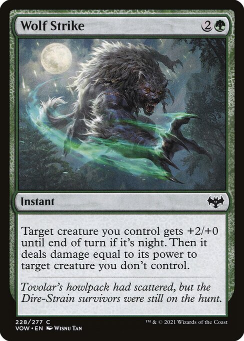 Wolf Strike — Front