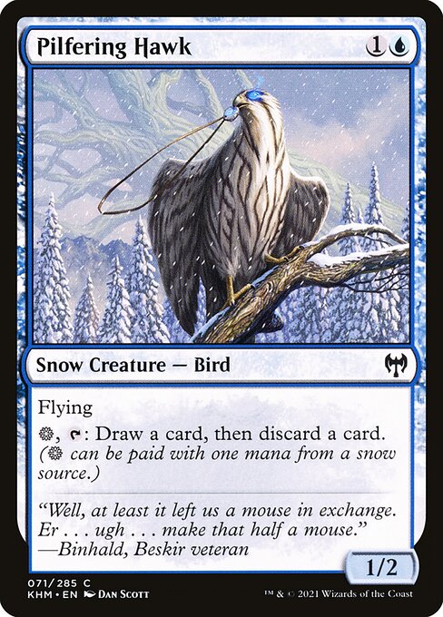 Pilfering Hawk — Front