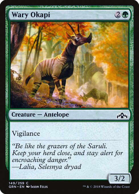 Wary Okapi — Front