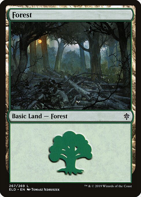 Forest (267) — Front